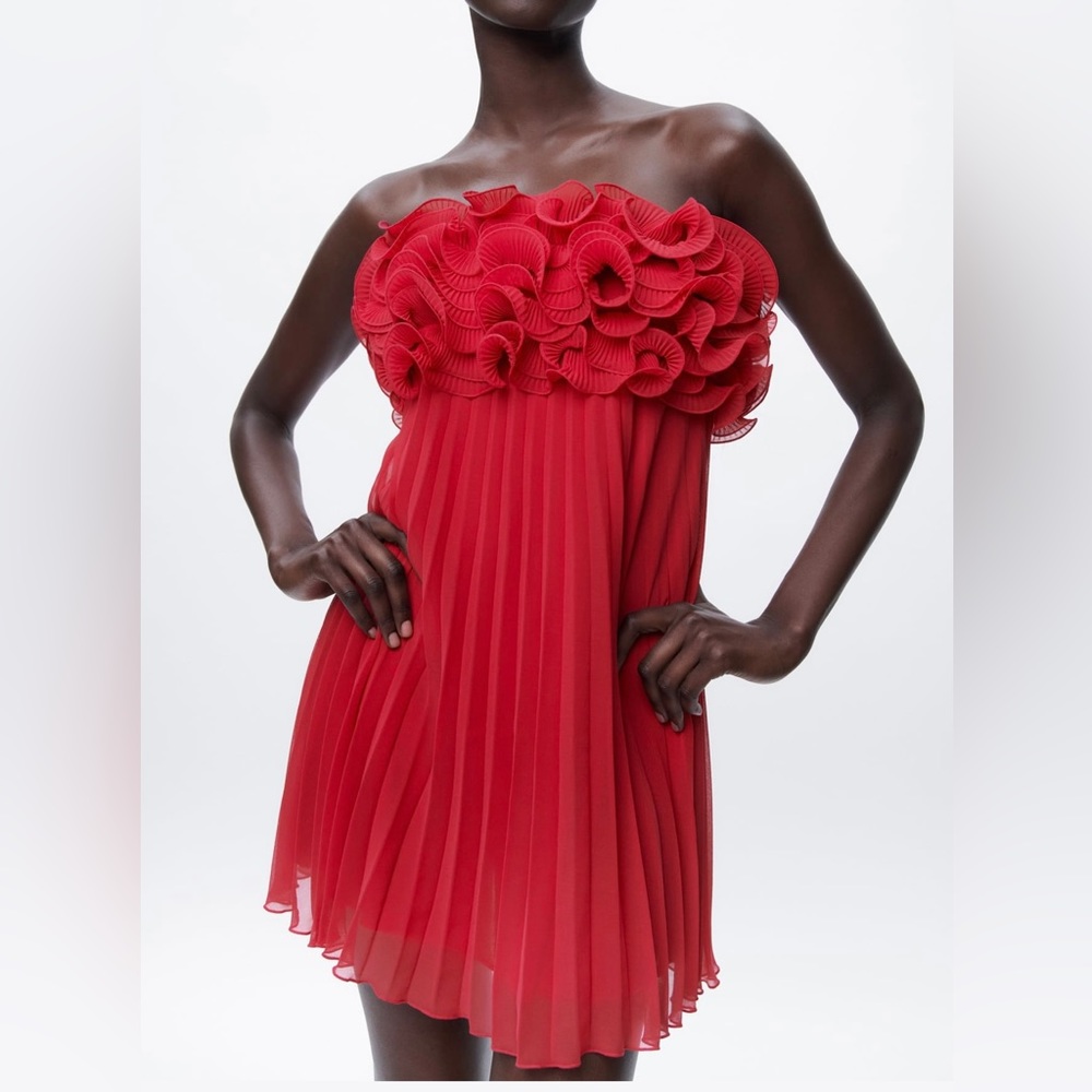 Zara Pleated Ruffle Mini Dress